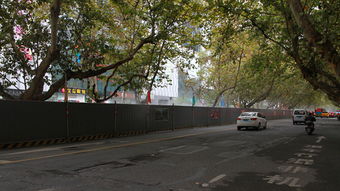 嚴排查 強落實——嘉來建工開展在建項目環保專項檢查，筑牢生態防線